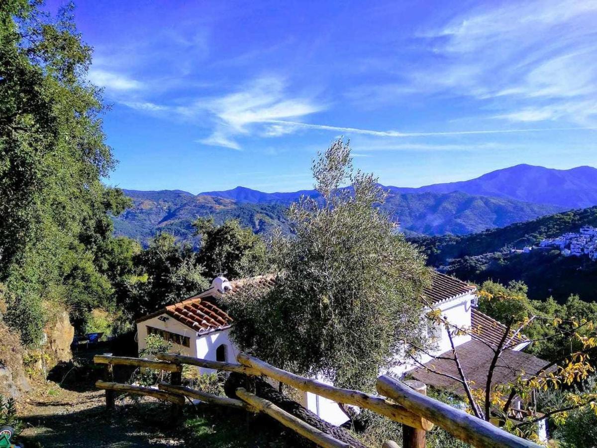 Casa El Chaparral Songbird Mountain Apartment Benadalid Exterior photo